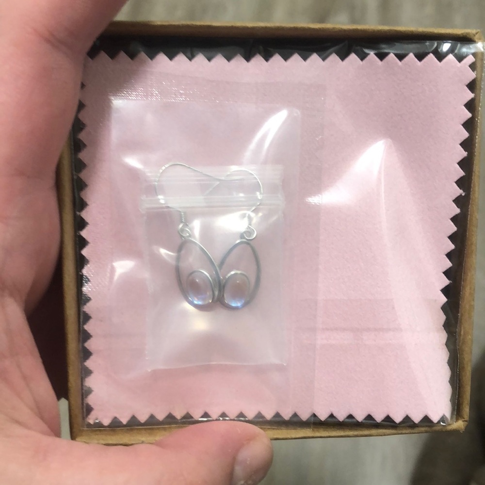 NWT Earrings